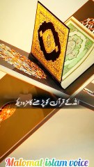 Allah ka Quran padni ka maza daik