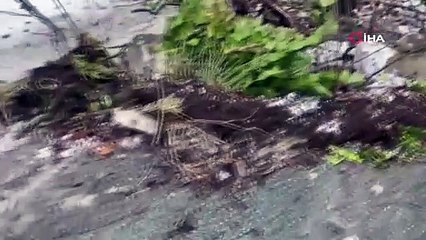 Sarp kara yolu ulaşıma kapandı ekipler çalışma başlattı