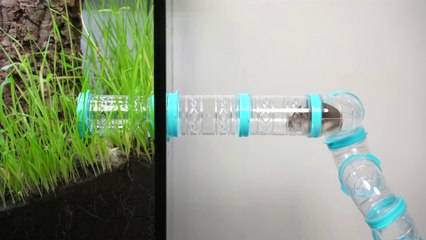 Testing a Hamster's Survival Skills