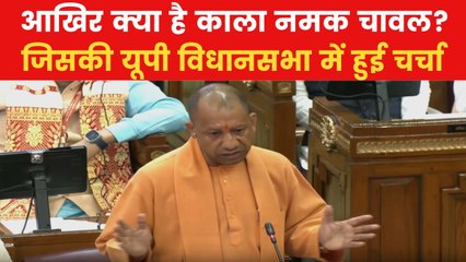 'इसे आप अकेले खा जाते हैं...', काला नमक चावल को लेकर CM योगी ने किसे कही ये बात? देखें
