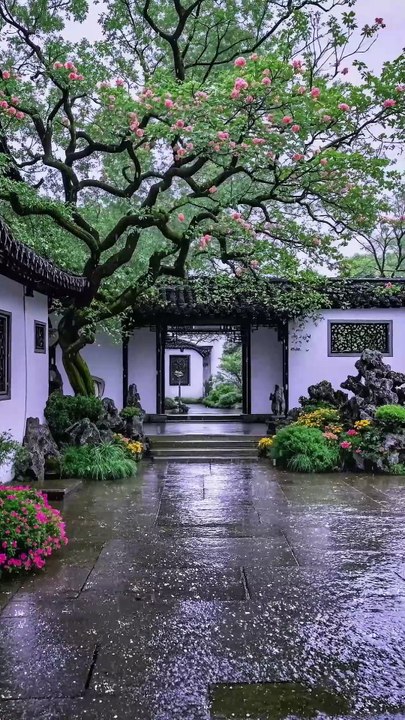 Beautiful rain