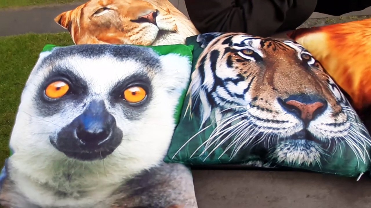 Discounted tickets at Dudley Zoo.