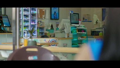 Callejero Novato 12 Español Latino