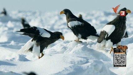 ท่องโลกกว้าง "ญี่ปุ่น...ของขวัญจากธรรมชาติแดนหนือ" วันที่ 24 กุมภาพันธ์2568