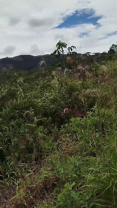 Montañas de mi Colombia