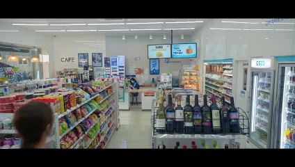 Callejero Novato 14 Español Latino