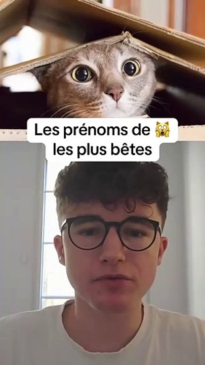 Les prénoms de chat les plus bêtes 🙀 #prenom #prénom #chat #chats