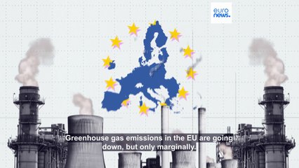 Greenhouse emissions: Which countries are reporting the biggest decreases?