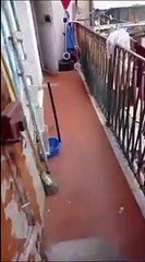 Torino, affitti fino a 300 euro per vivere in case fatiscenti. «Colpa del caporalato abitativo»