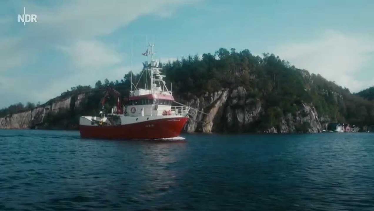 Rumors - staffel 3 Trailer OmdU