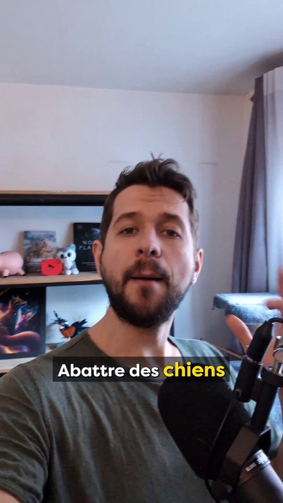 Le Maroc souhaite dégommer des chiens !