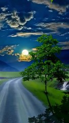 Surah An-Nasr | Surah Nasr