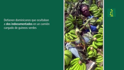 Detienen dominicanos que ocultaban a dos indocumentados en un camión cargado de guineos verdes