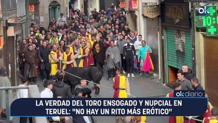 La verdad del toro ensogado y nupcial en Teruel: “No hay un rito más erótico”