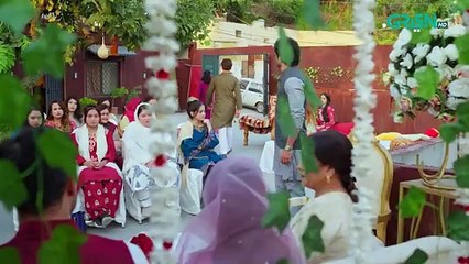 Diyar e Yaar Episode 21 - 24th February 2025