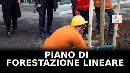 Roma, nuovi alberi per il Municipio II