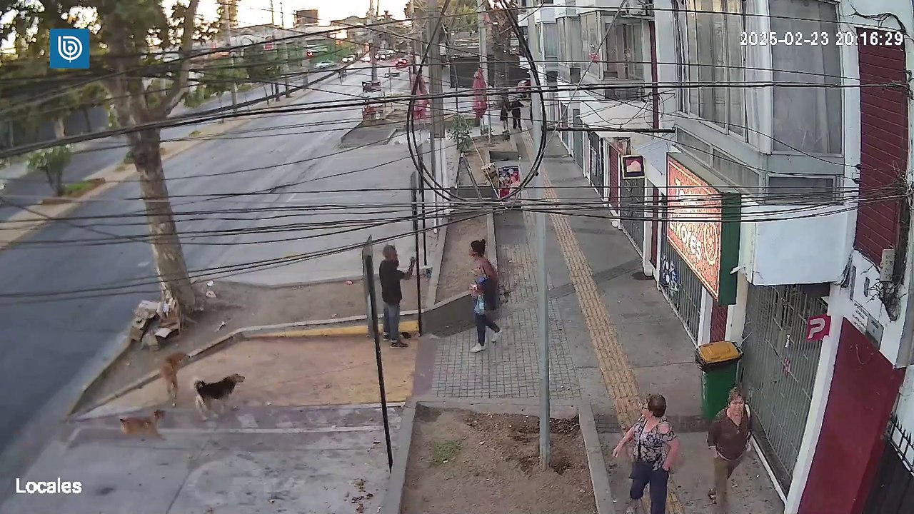 Hombre en situación de calle falleció tras violenta golpiza en El Bosque