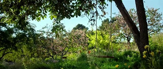 Le goût des merveilles