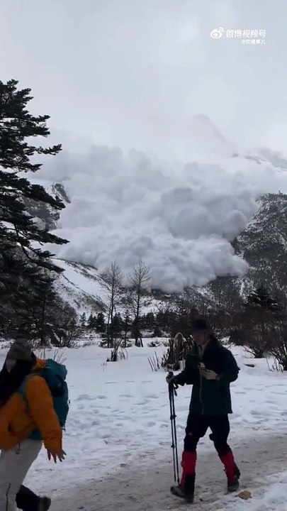 Avalanche is Coming