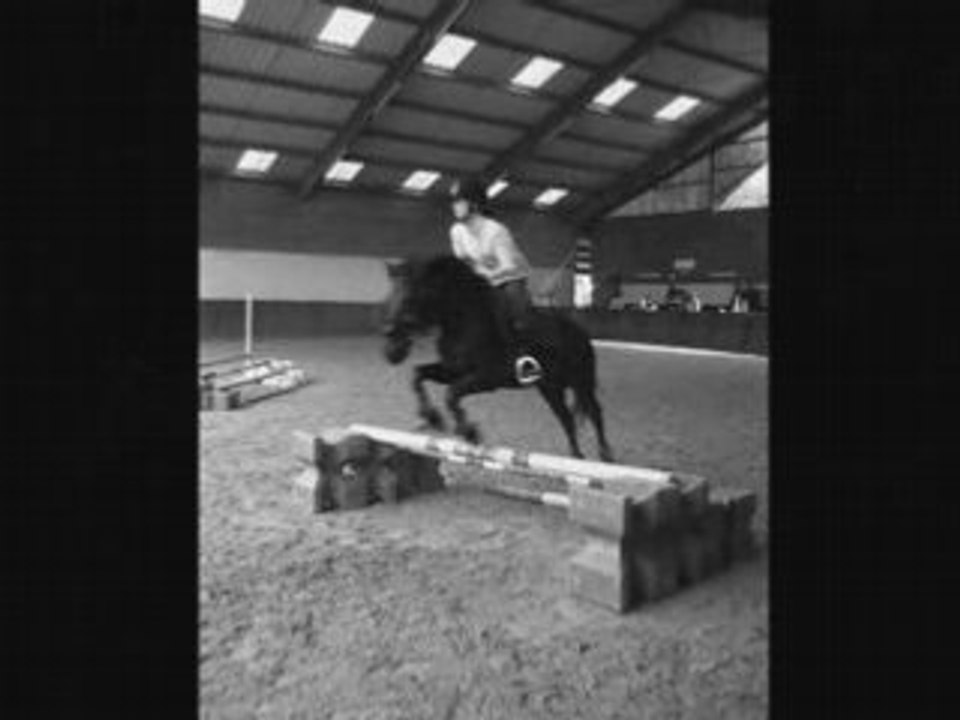 Harley & moi
