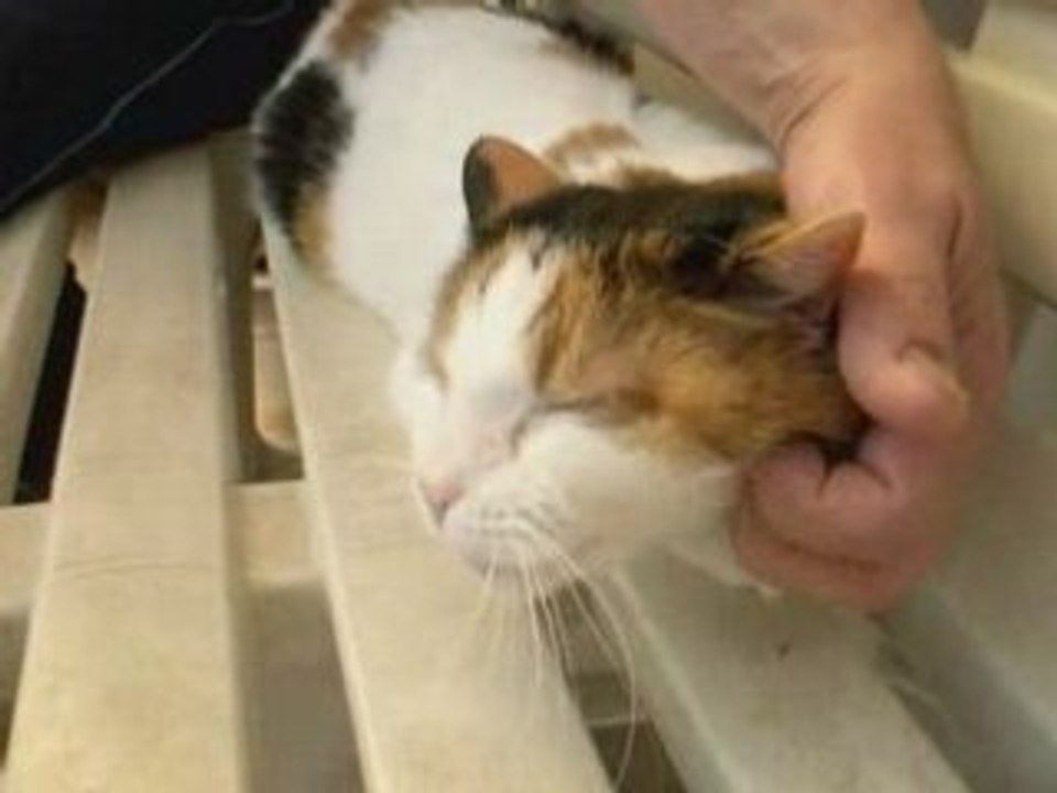 Pam et les caresses