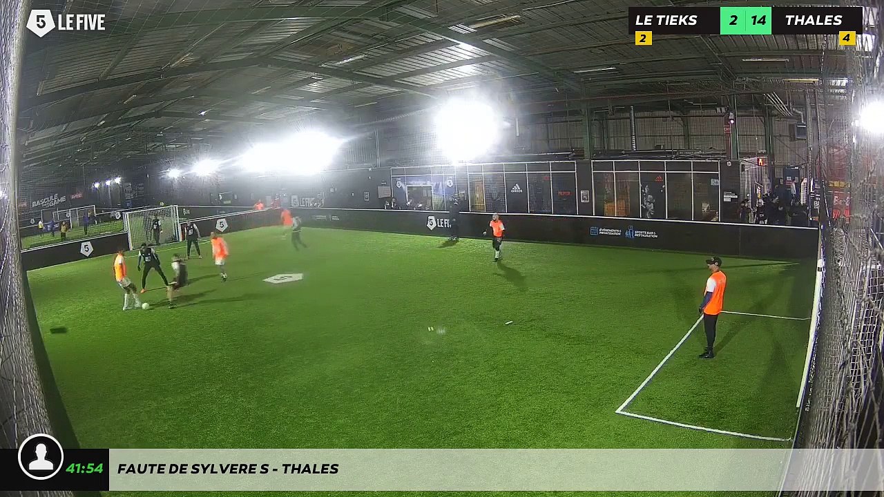 Faute de Sylvere S - Thales