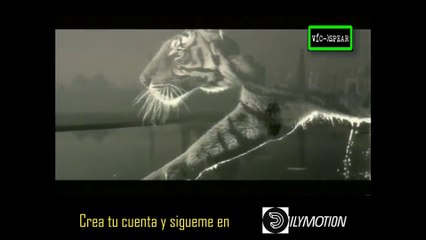 La Tierra del Tigre: Los dominios del Tigre - Documental (1997) - Español Latino Episodio 1