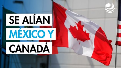 Canadá y México intensificarán esta semana las pláticas sobre fentanilo y la frontera para evitar aranceles
