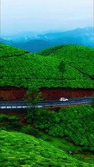 Munner - Theni #relaxingmusic #naturevideos #Beautiful