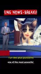 The most wanted felines in the game 🐱💸 Les criminels les plus recherchés du game 🐱💸