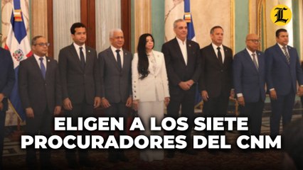 Consejo Nacional de la Magistratura elige a los siete procuradores adjuntos propuestos por Abinader