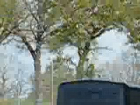 Christophe mae Bus musicien Nantes 11 avril 2008 zenith