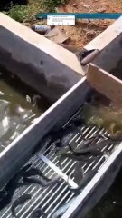 Alat sortir ALUMINIUM vs Bak sortir Plastik, enakan pake yang mana menurut kalian