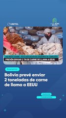 Bolivia prevé enviar 2 toneladas de carne de llama a EEUU