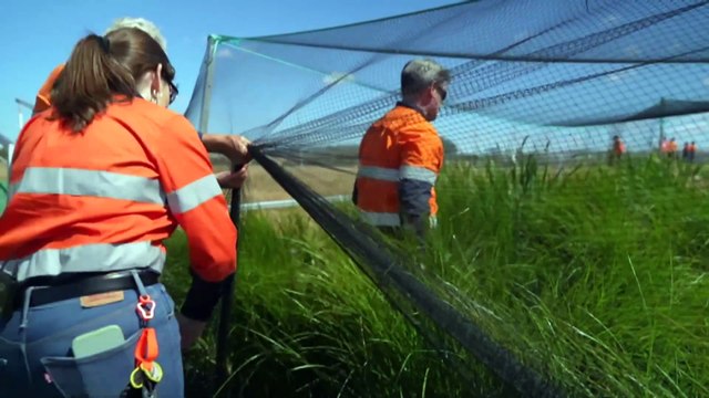 Tasmania trialling plants to treat sewage aiming to reduce the impact of wastewater