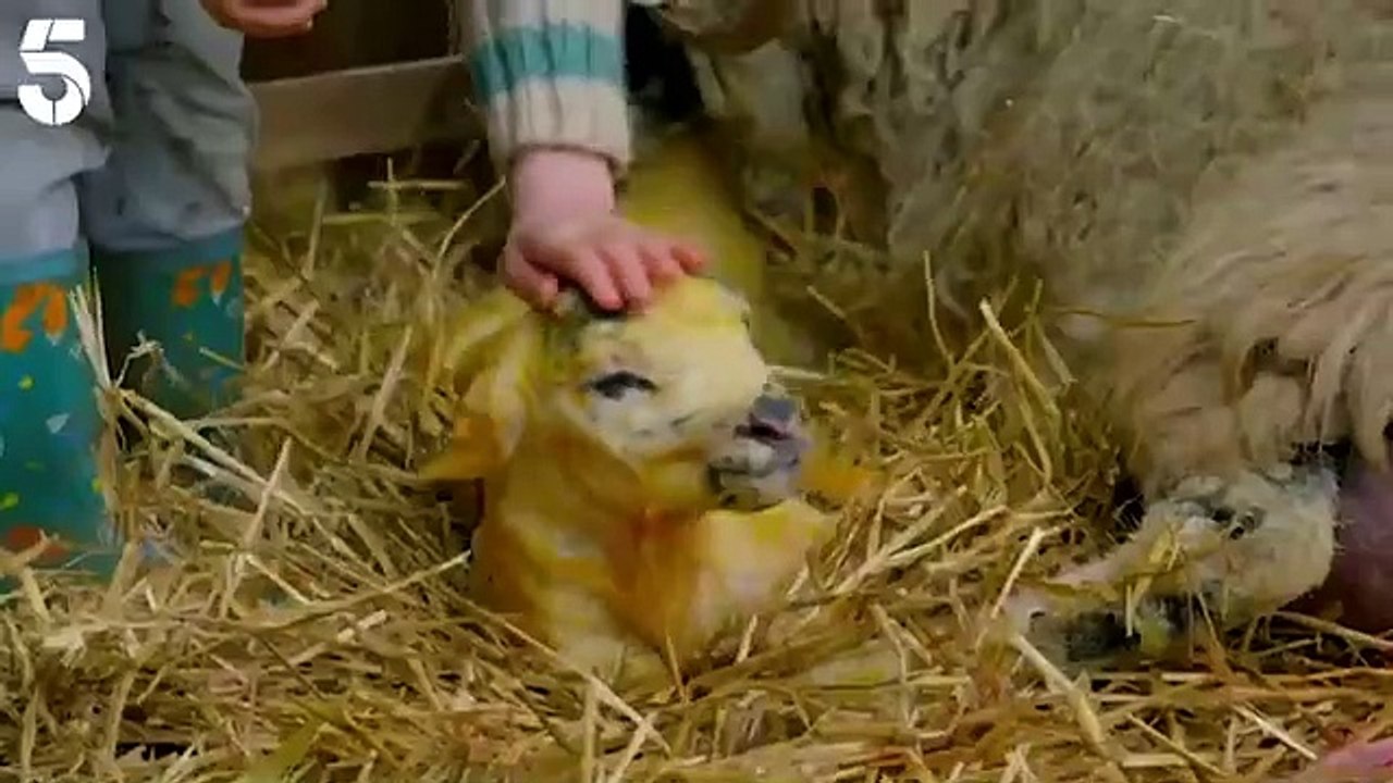 Boots and Heels meets Amanda Owen The Yorkshire Shepherdess