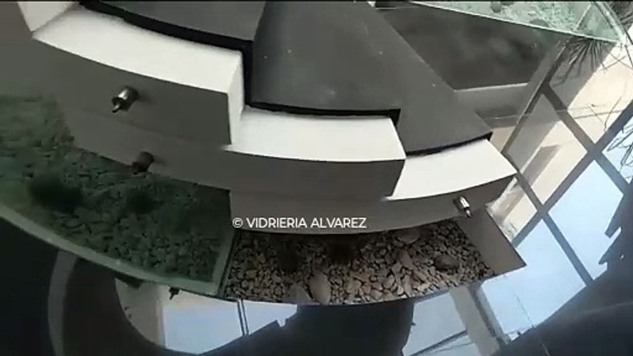 VID-20250223-WA0296~2