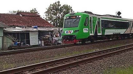 Boleh juga tuhh ijo-ijo