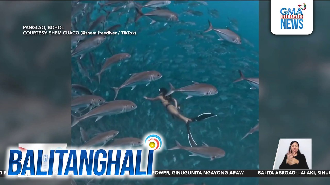 "Under-wow-ter" view sa Balicasag Island, nakunan ng isang diver-videographer | Balitanghali