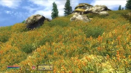 The Elder Scrolls IV: Oblivion - Part 5