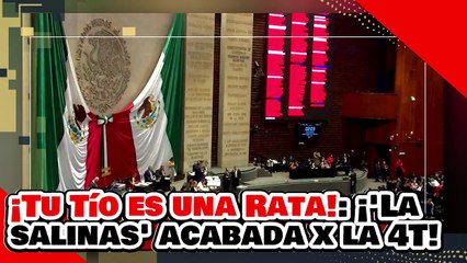 ¡TU TÍO ES UNA RATA! ¡'SOBRINITA de SALINAS' es ANIQUILADA por el DIPUTADO CAROL por ATACAR a AMLO!