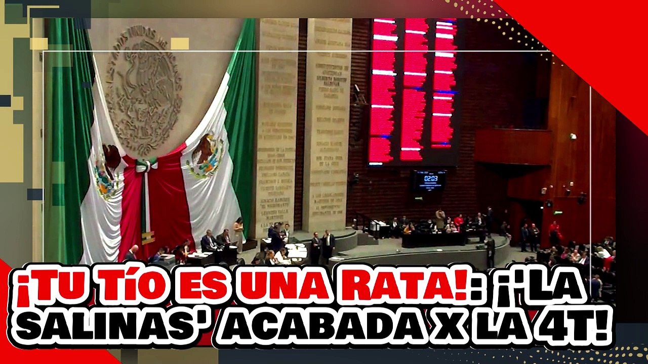 ¡TU TÍO ES UNA RATA! ¡'SOBRINITA de SALINAS' es ANIQUILADA por el DIPUTADO CAROL por ATACAR a AMLO!
