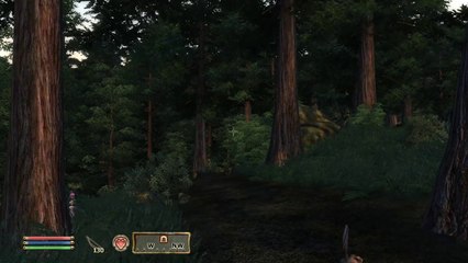The Elder Scrolls IV: Oblivion - Part 8