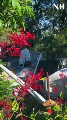 Nightmare on Ullora Close in Nelson Bay - Newcastle Herald - February 25, 2024