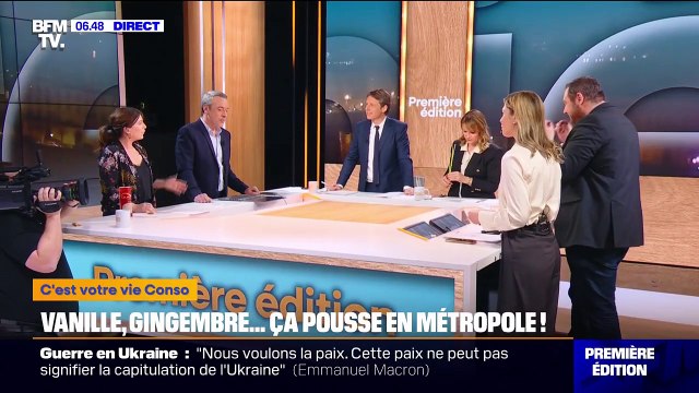 Vanille, Gingembre, Quinoa... Ces nouvelles cultures qui poussent en métropole