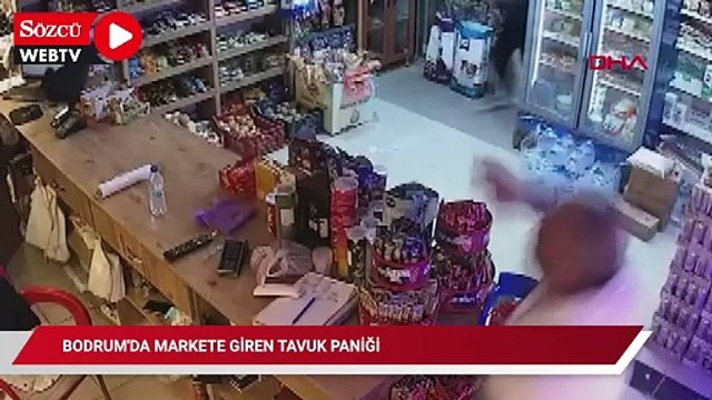 Bodrum'da markete giren tavuk paniği