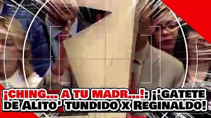¡CHING… A TU MADR…! ¡’GATETE de ALITO’ RECIBE UN CERRADÓN de HOCICO de REGINALDO ‘COMPA de NOROÑA’!