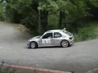 Rallye du Picodon 2007