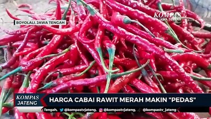 Harga Cabai Rawit Merah di Boyolali Makin Pedas