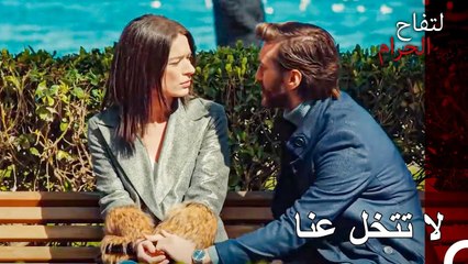 هل تعرف ماذا يعني أن تكون مهزوماً منذ البداية في حرب الحب؟ - التفاح الحرام الحلقة ال 110